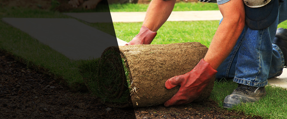 Sun Prairie Landscapers